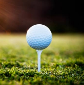 Golf Tournament 2018 Golf Tournament 2018