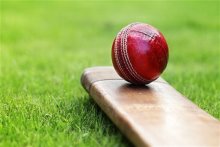 Cricket Tournament Cricket Tournament