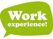 Work Experience Work Experience