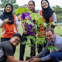 Saplings of Change: Growing Sustainability